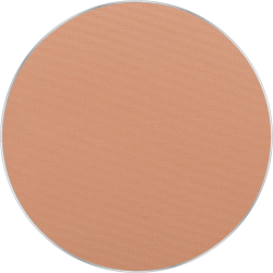 FREEDOM SYSTEM PERFECT FINISH PRESSED POWDER